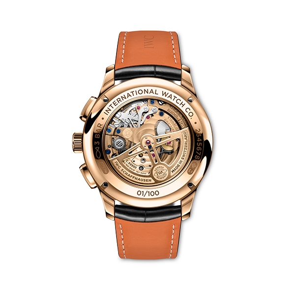 IWC Portugieser Tourbillon Rétrograde Chronograph - Fondello